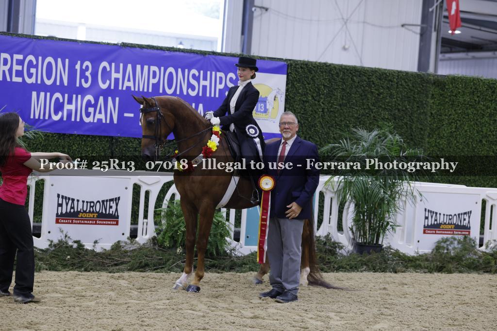Proof 25R13_07018