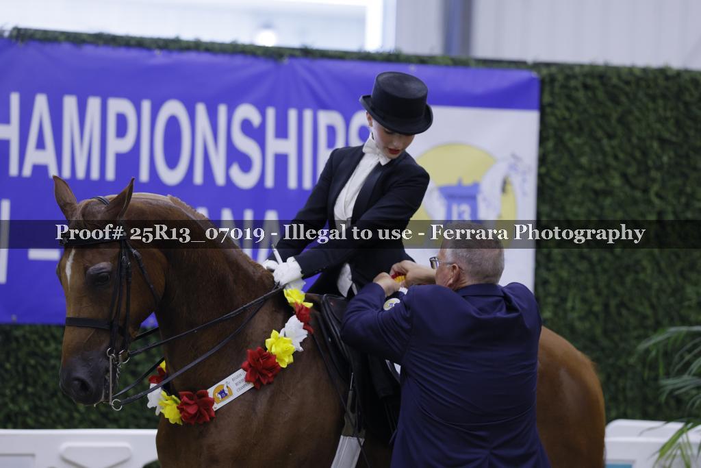 Proof 25R13_07019