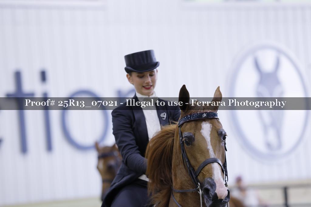 Proof 25R13_07021