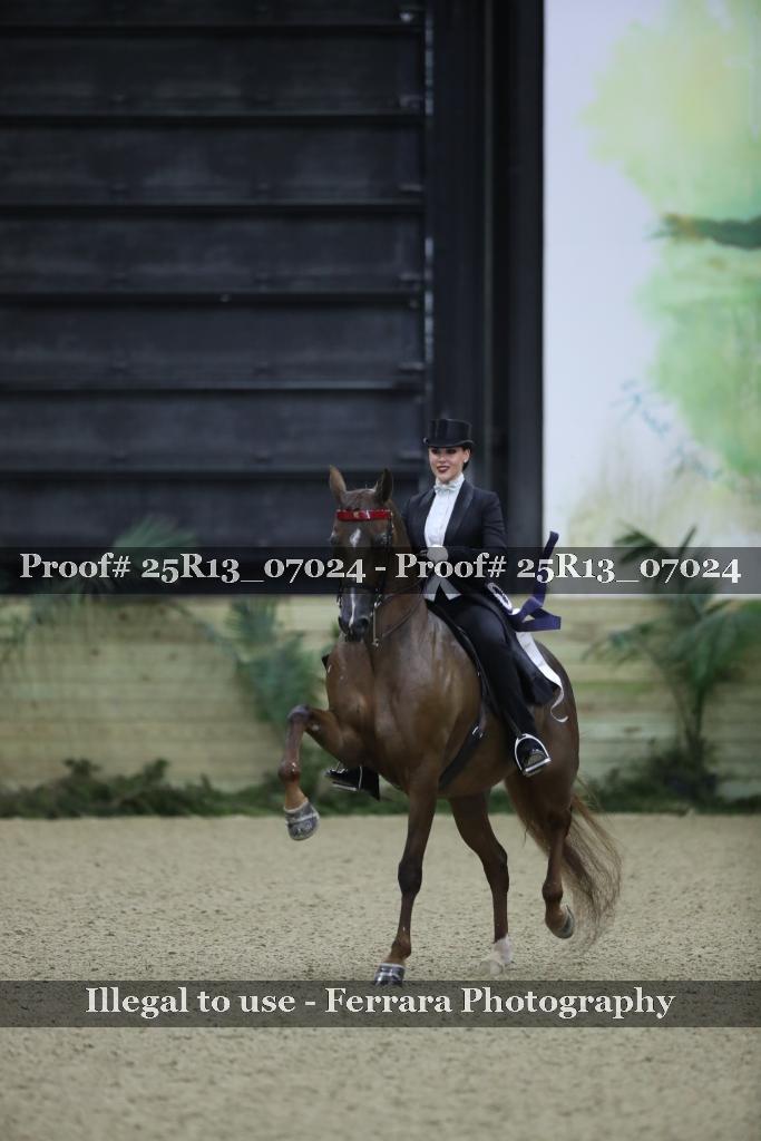 Proof 25R13_07024