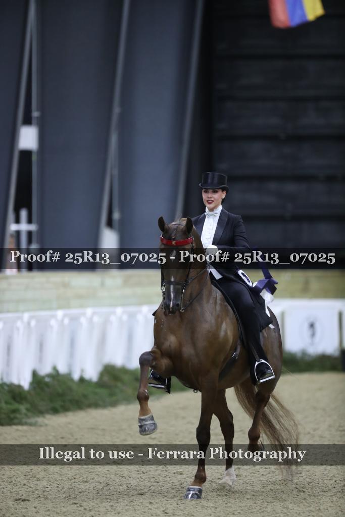 Proof 25R13_07025