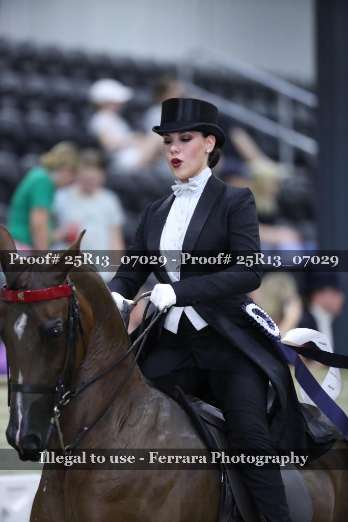 Proof 25R13_07029