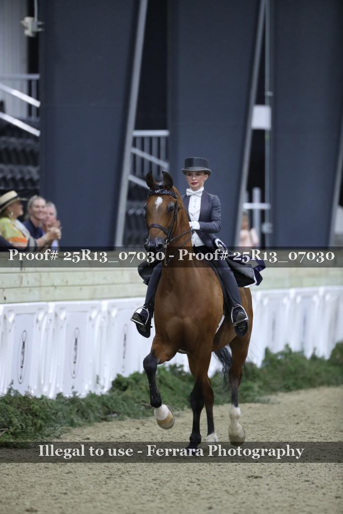 Proof 25R13_07030
