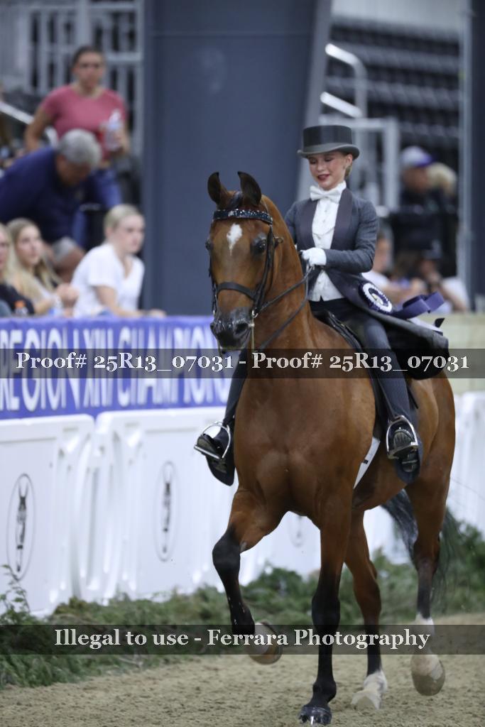 Proof 25R13_07031