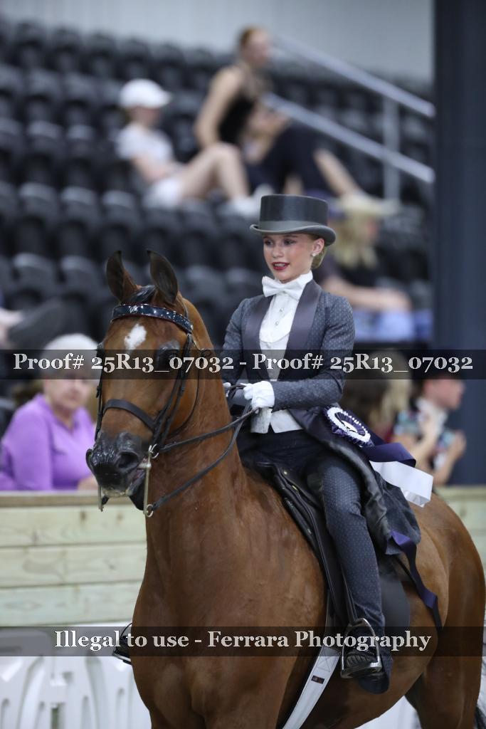 Proof 25R13_07032