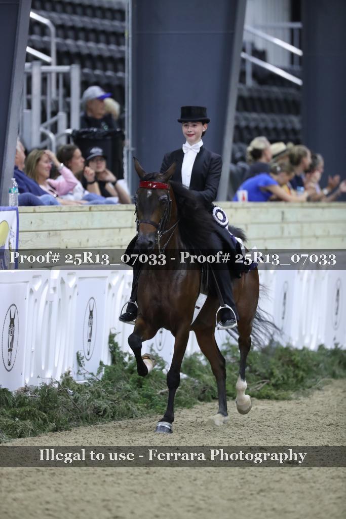 Proof 25R13_07033
