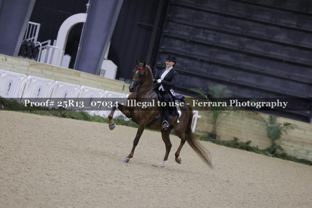Proof 25R13_07034