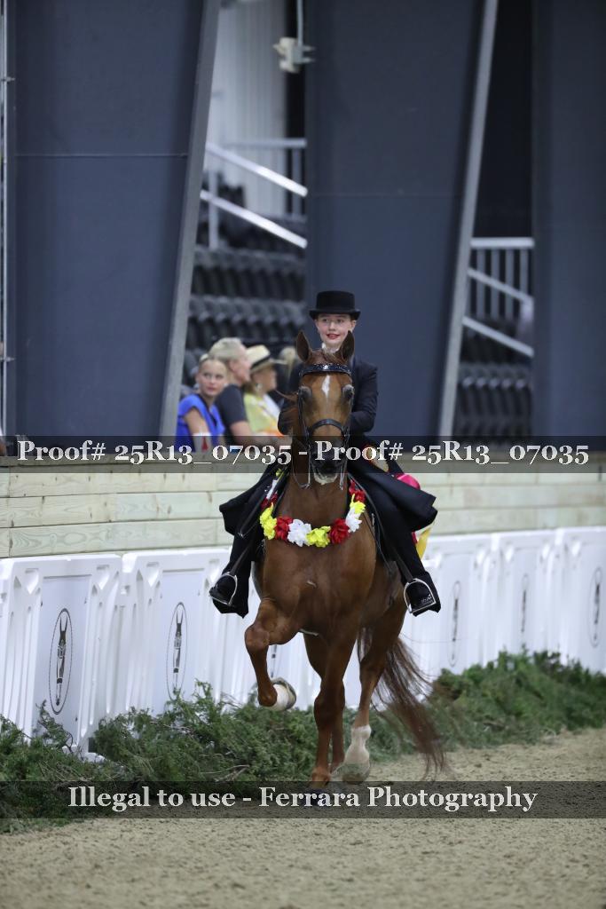 Proof 25R13_07035