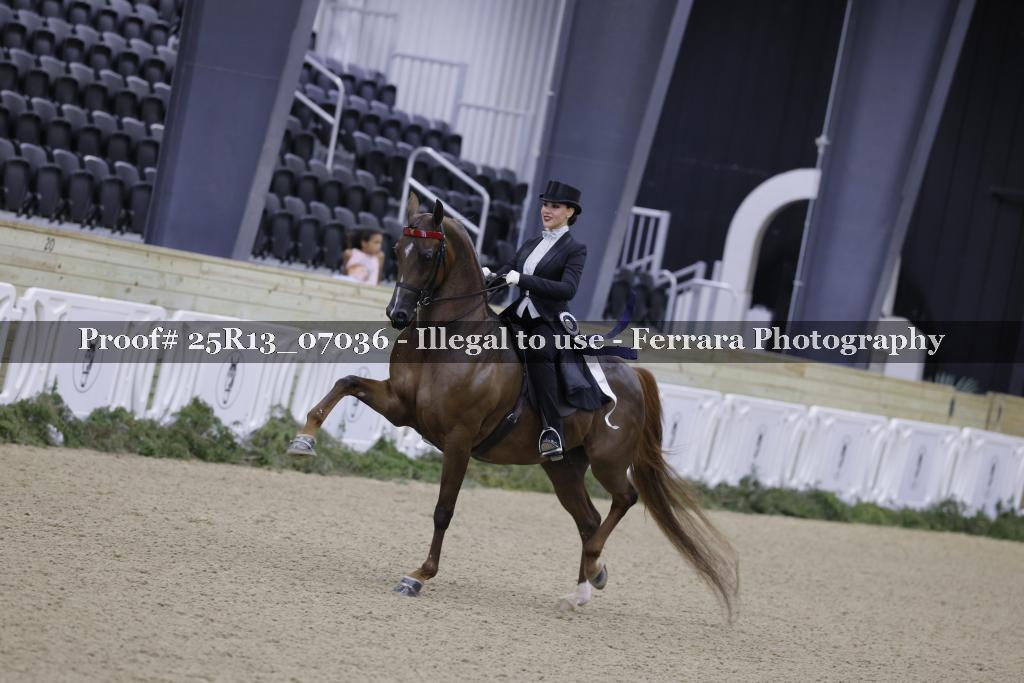 Proof 25R13_07036