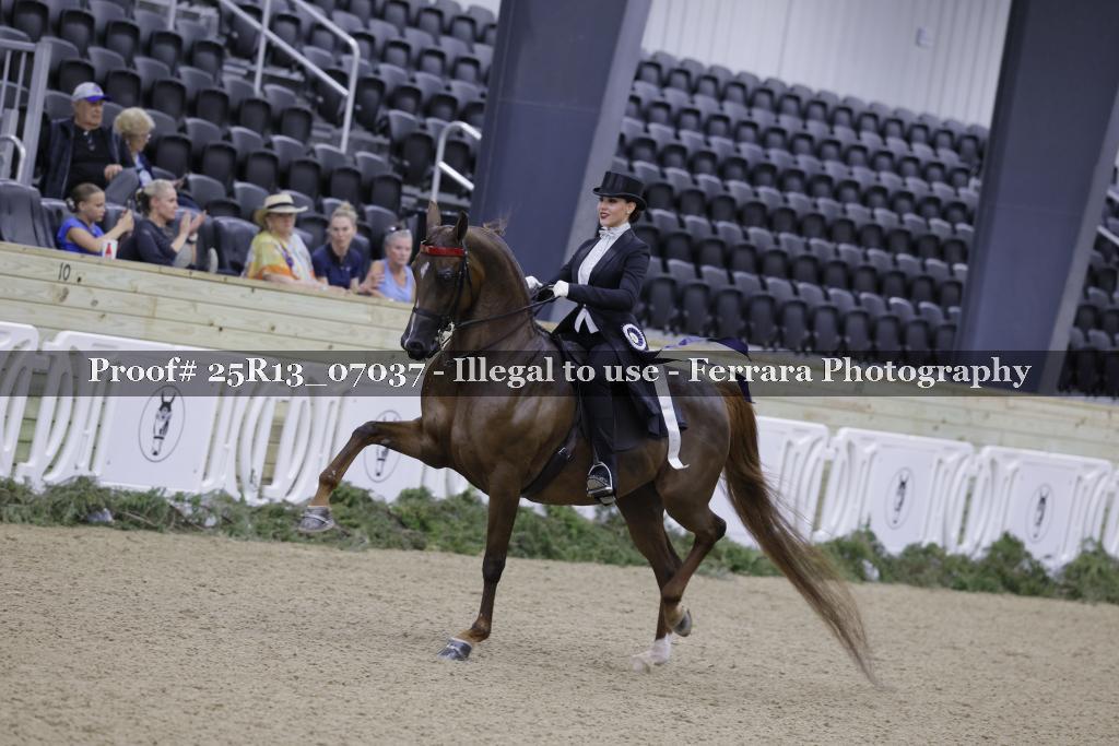 Proof 25R13_07037
