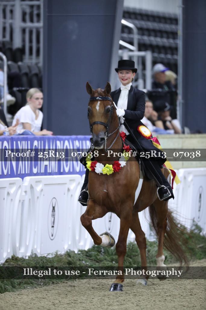 Proof 25R13_07038