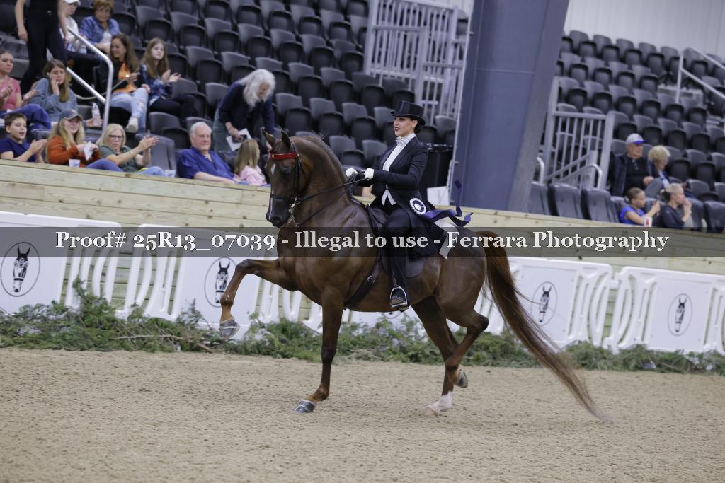 Proof 25R13_07039