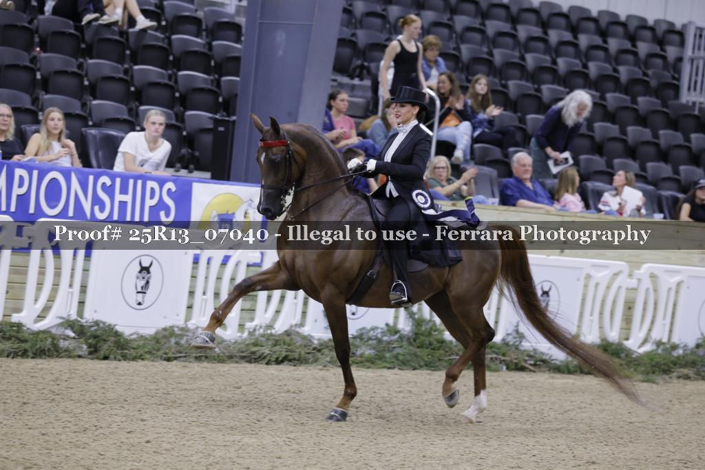 Proof 25R13_07040