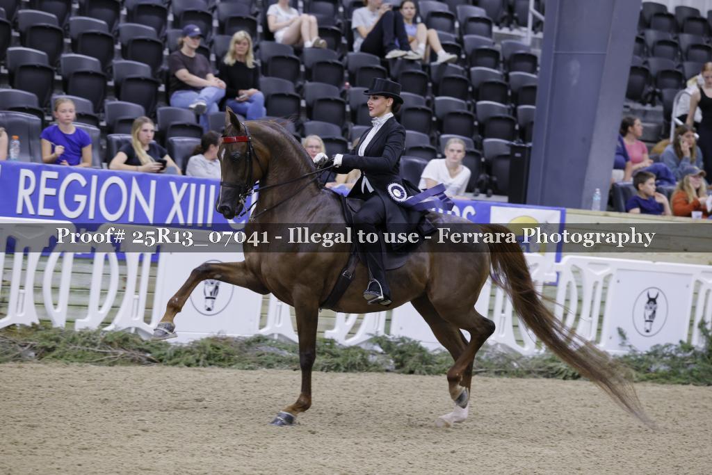 Proof 25R13_07041