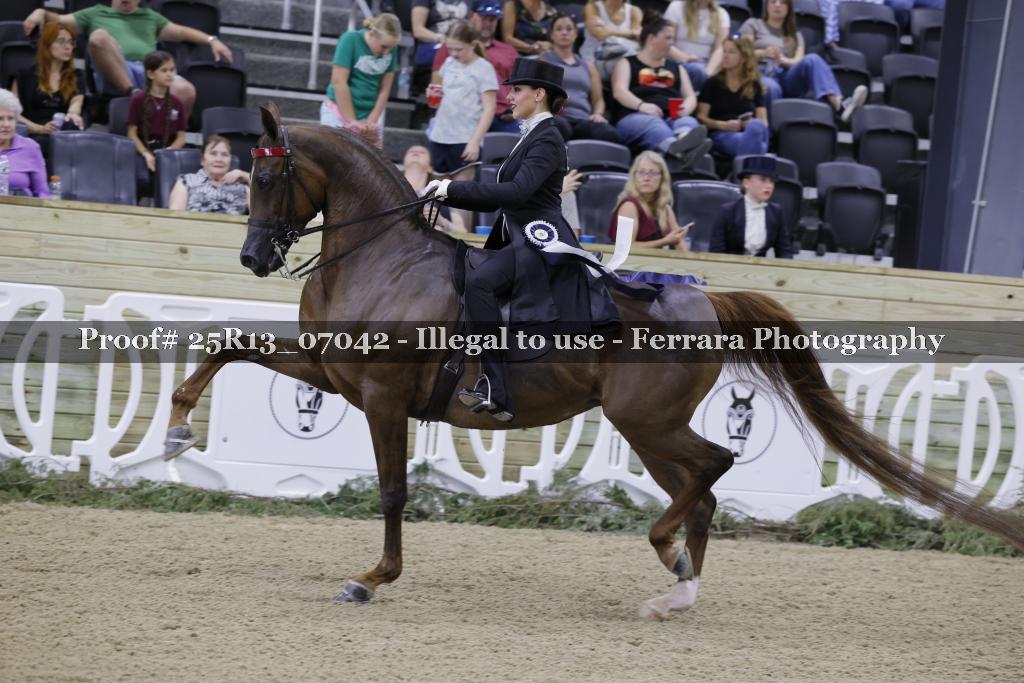 Proof 25R13_07042