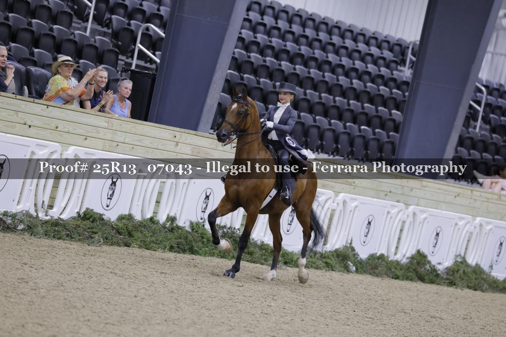 Proof 25R13_07043