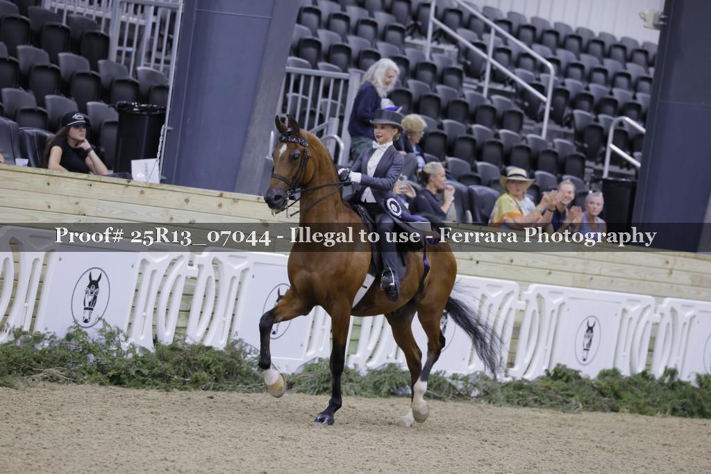 Proof 25R13_07044