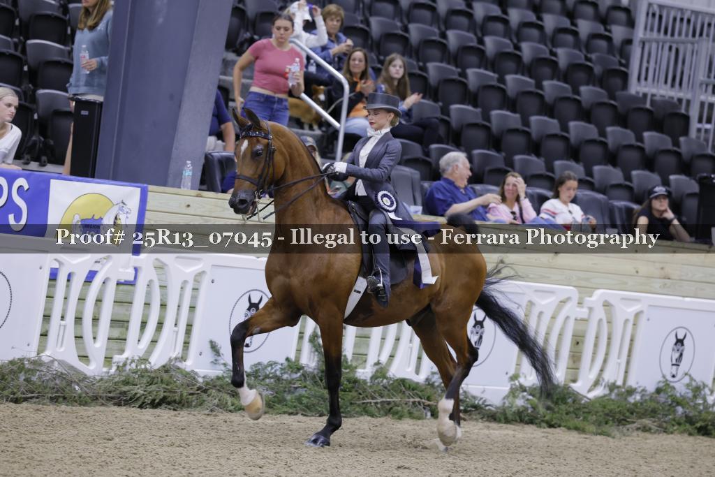 Proof 25R13_07045