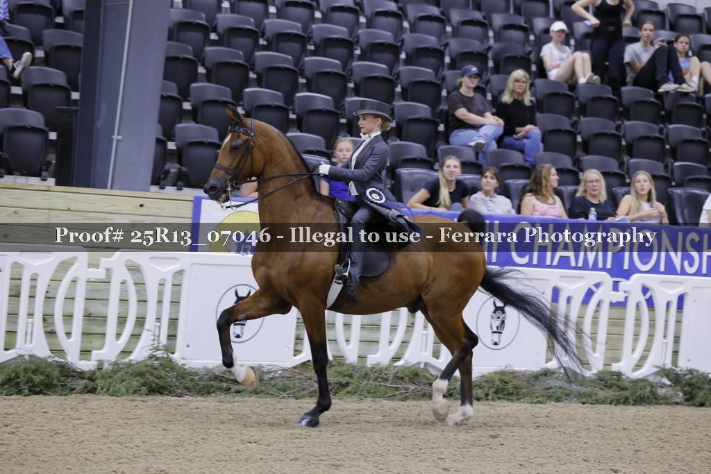 Proof 25R13_07046