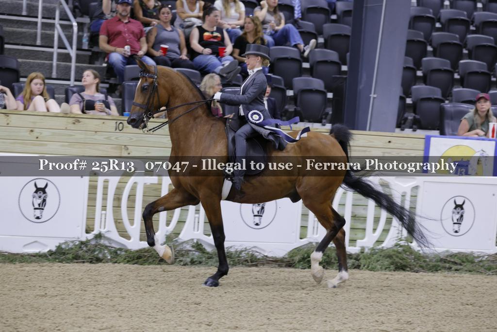 Proof 25R13_07047