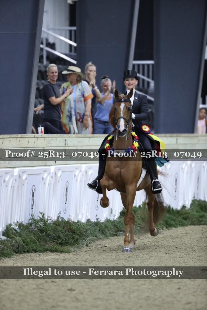 Proof 25R13_07049