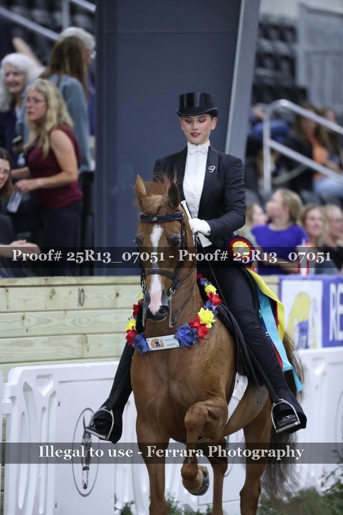 Proof 25R13_07051