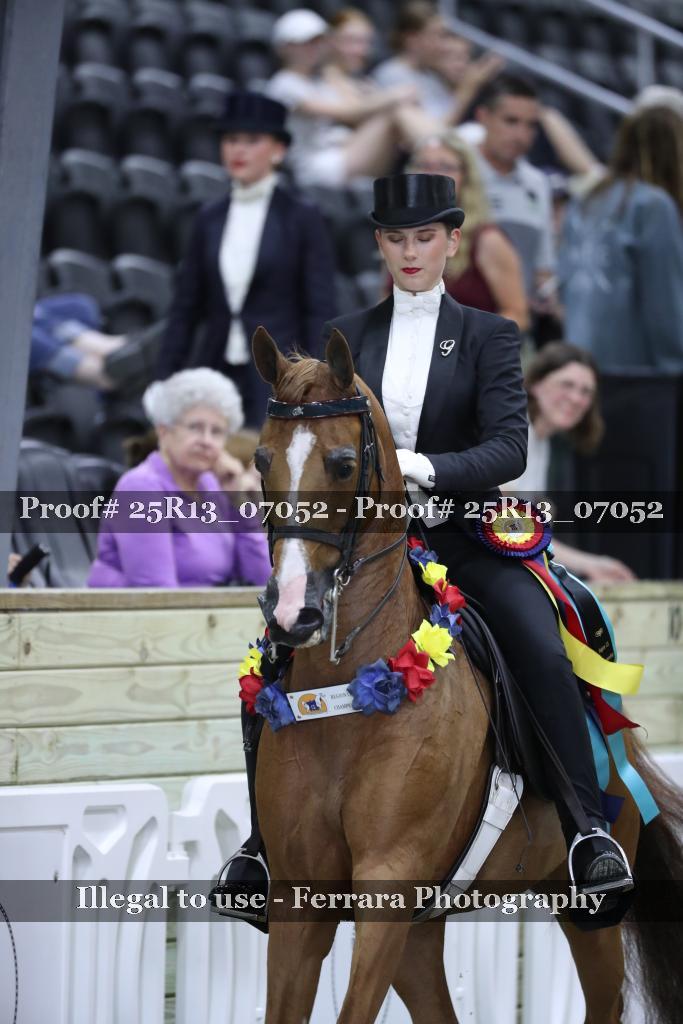 Proof 25R13_07052