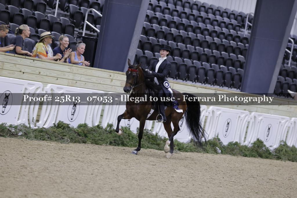 Proof 25R13_07053