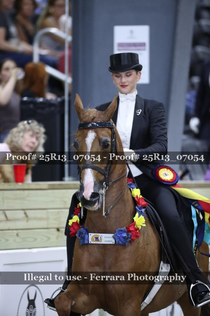 Proof 25R13_07054