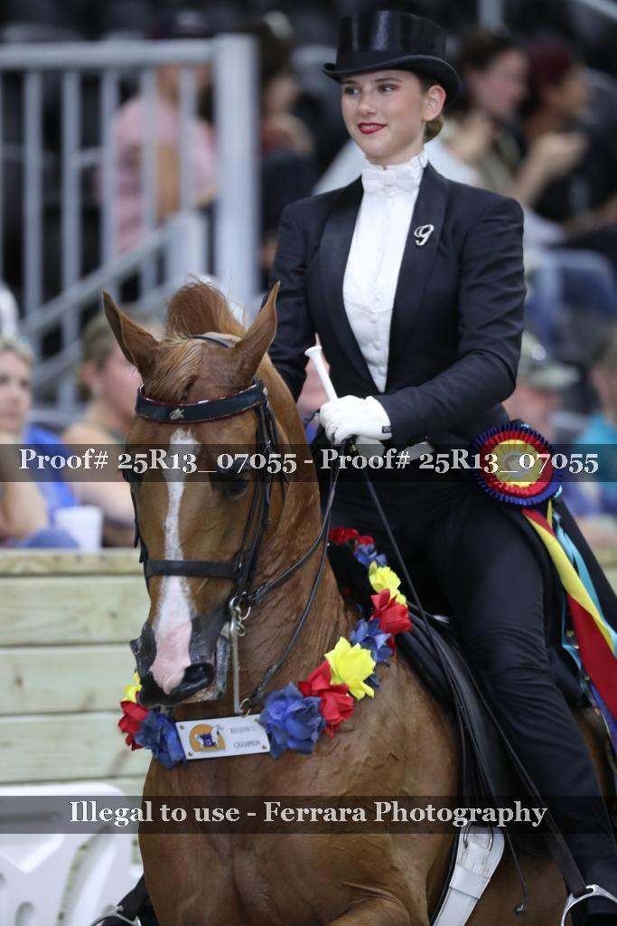 Proof 25R13_07055