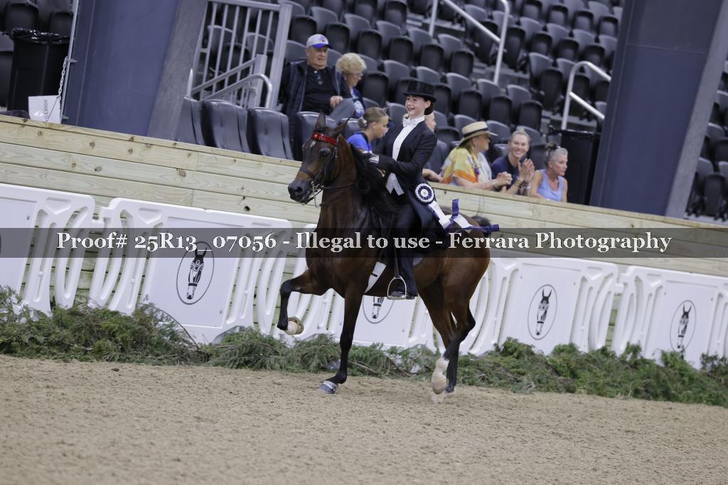 Proof 25R13_07056
