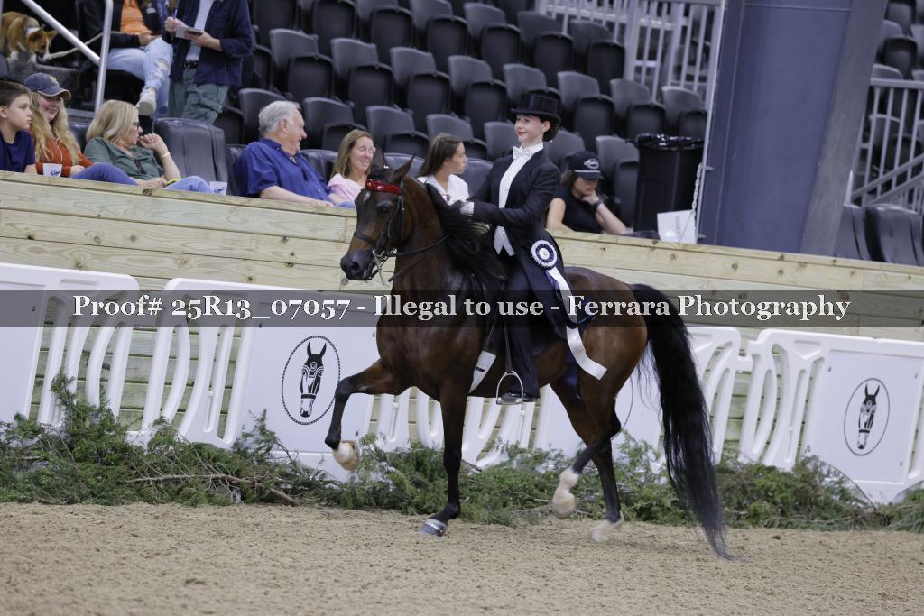 Proof 25R13_07057