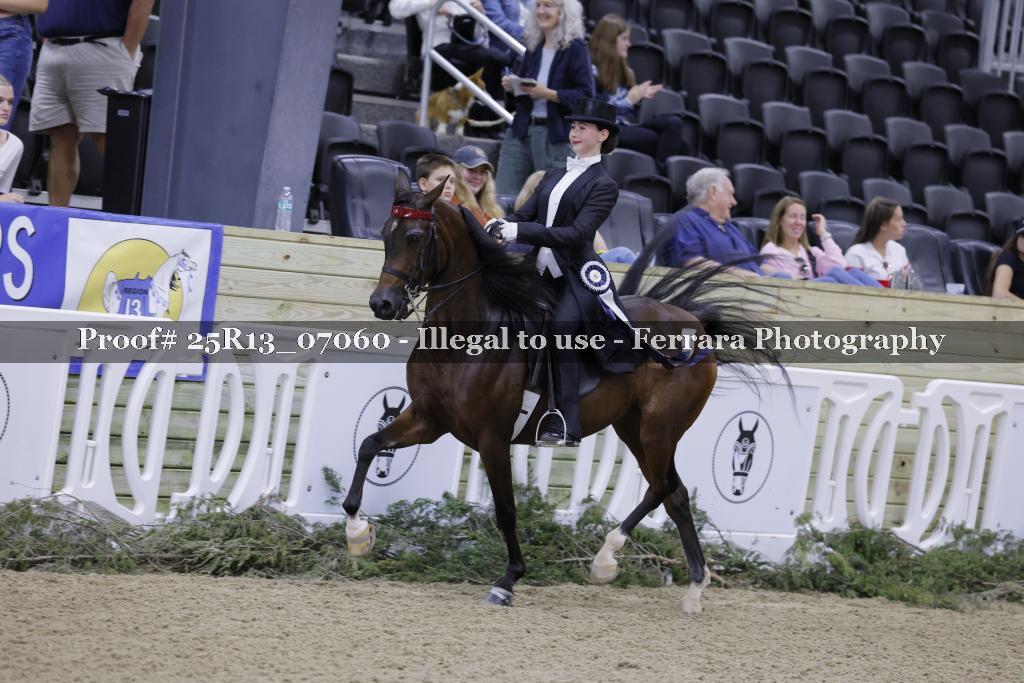 Proof 25R13_07060