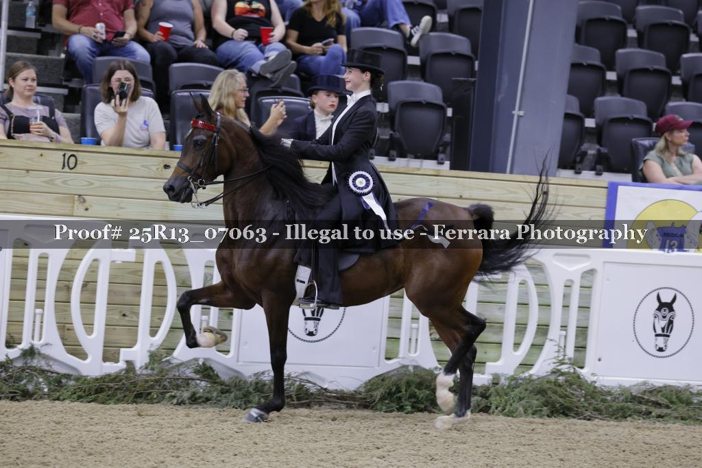 Proof 25R13_07063