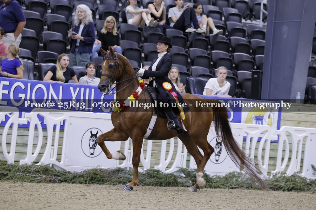 Proof 25R13_07066