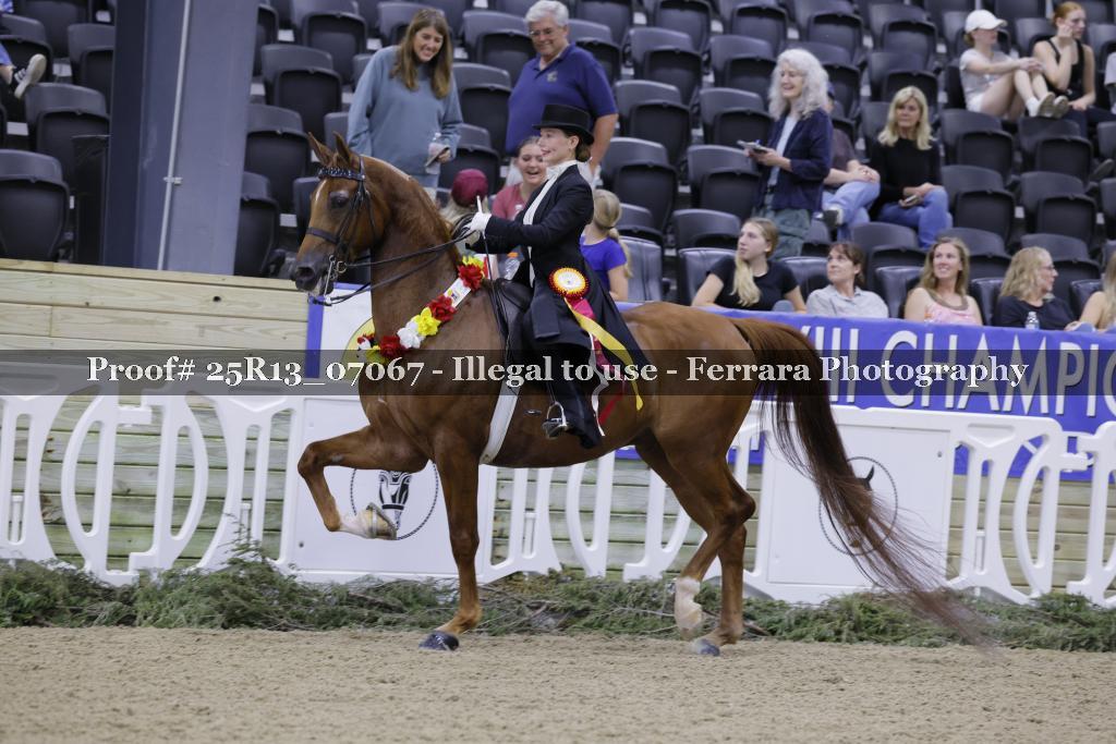 Proof 25R13_07067