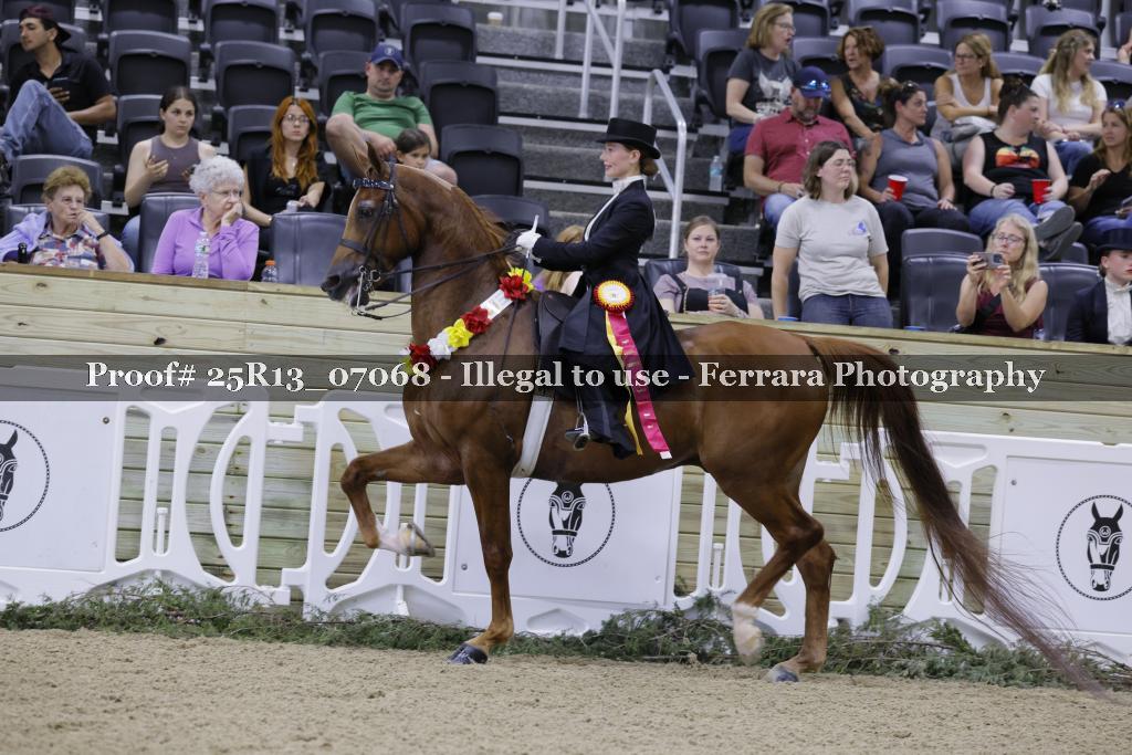 Proof 25R13_07068