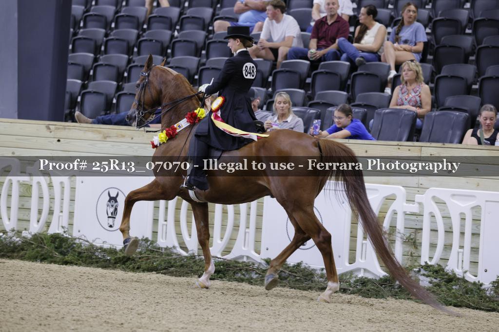 Proof 25R13_07070