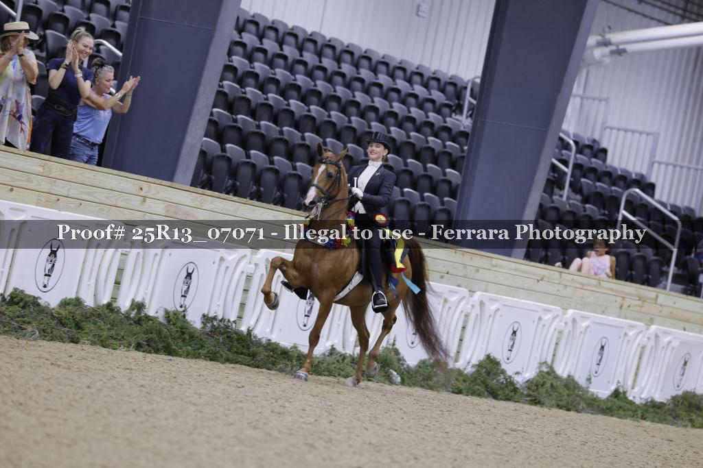 Proof 25R13_07071
