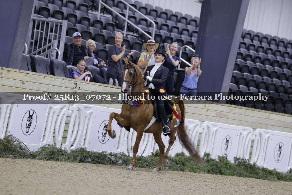 Proof 25R13_07072