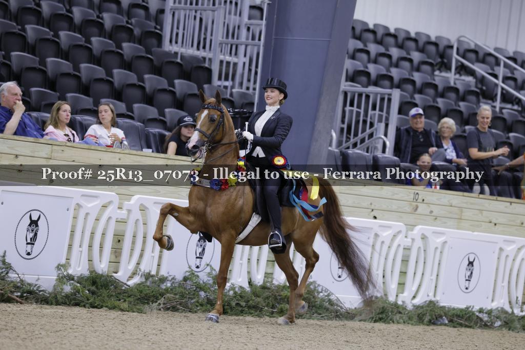 Proof 25R13_07073