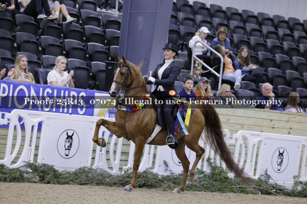 Proof 25R13_07074