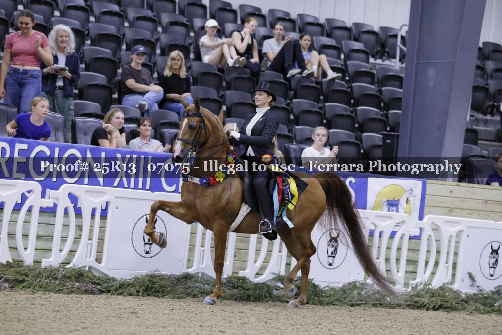Proof 25R13_07075