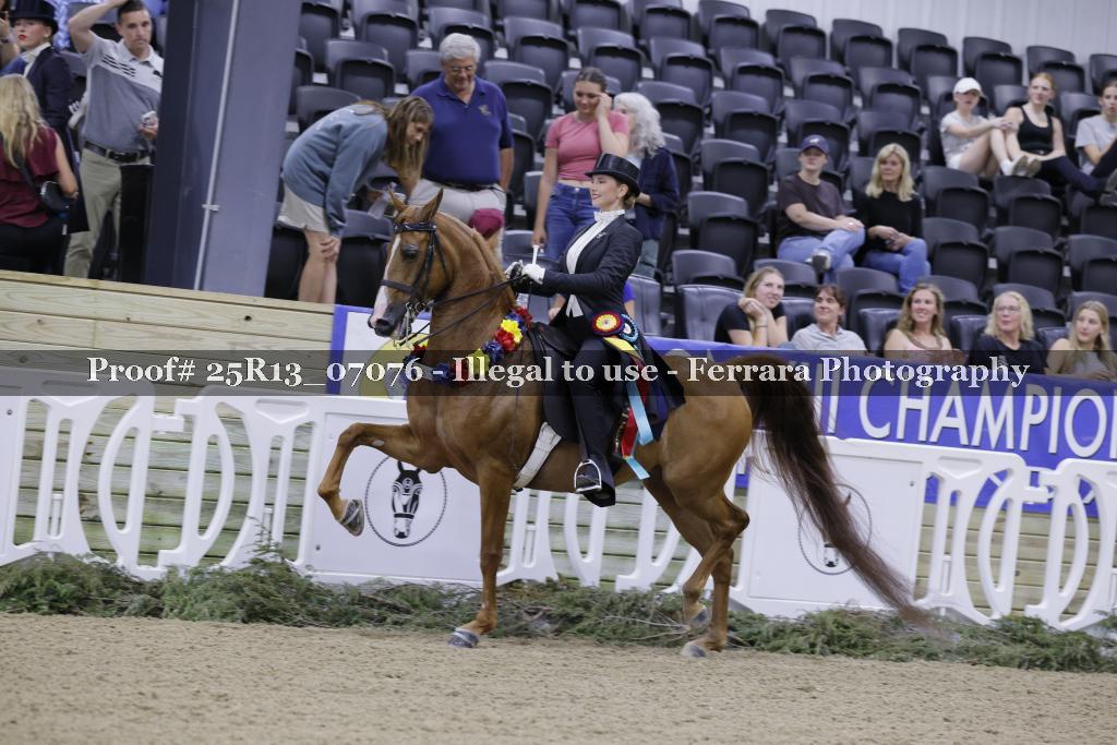 Proof 25R13_07076
