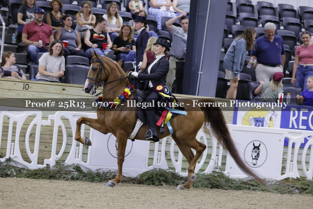 Proof 25R13_07077