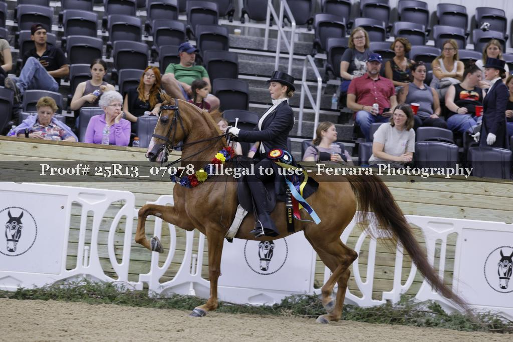 Proof 25R13_07078