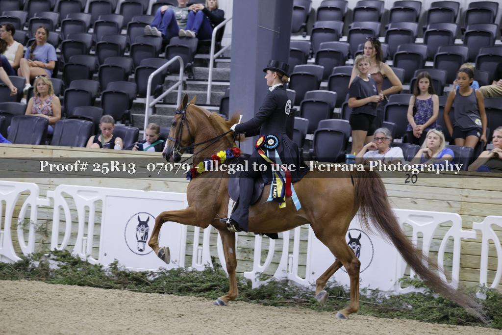 Proof 25R13_07079