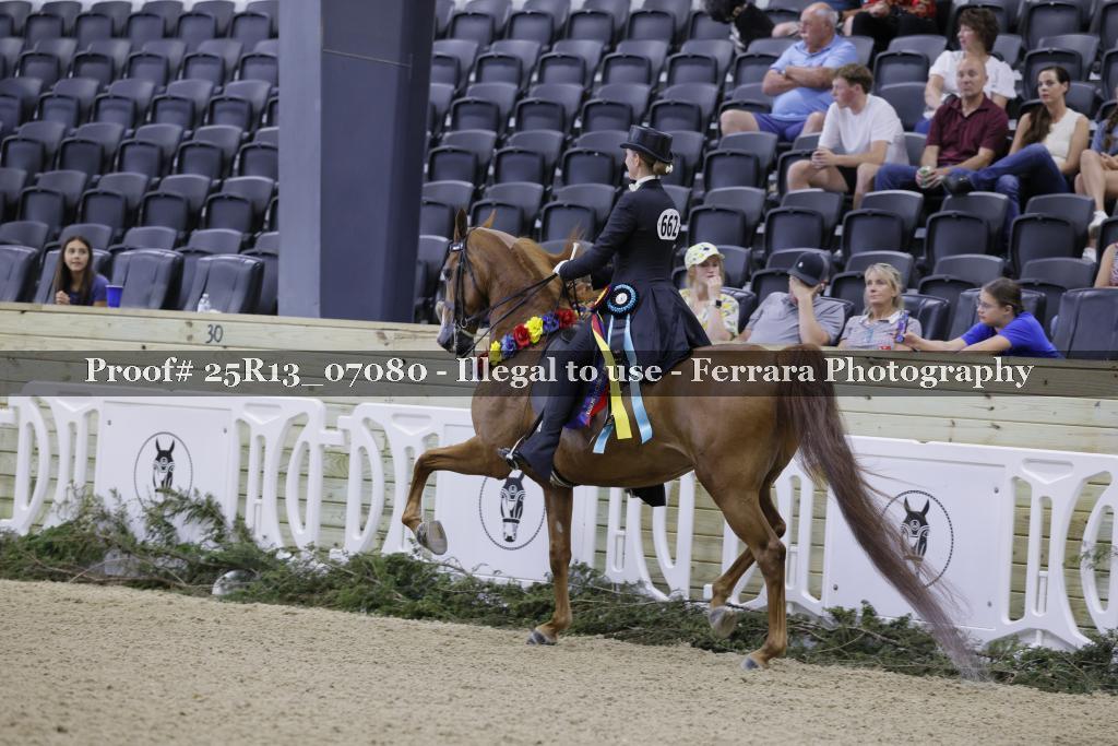 Proof 25R13_07080