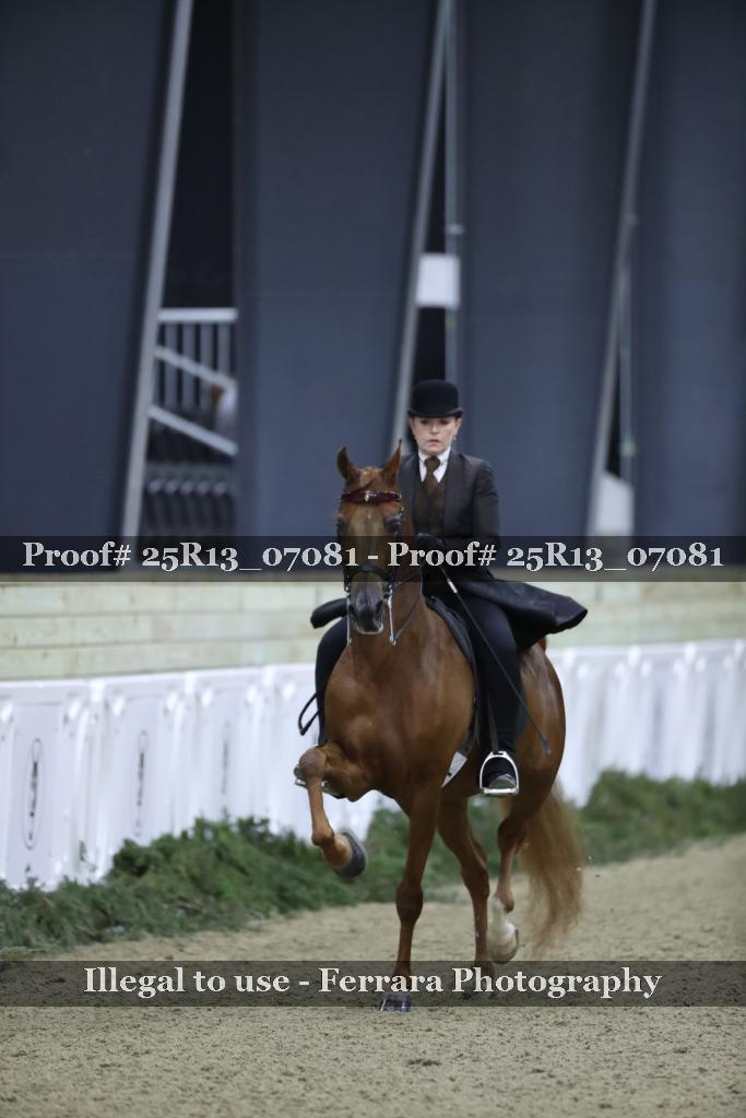 Proof 25R13_07081