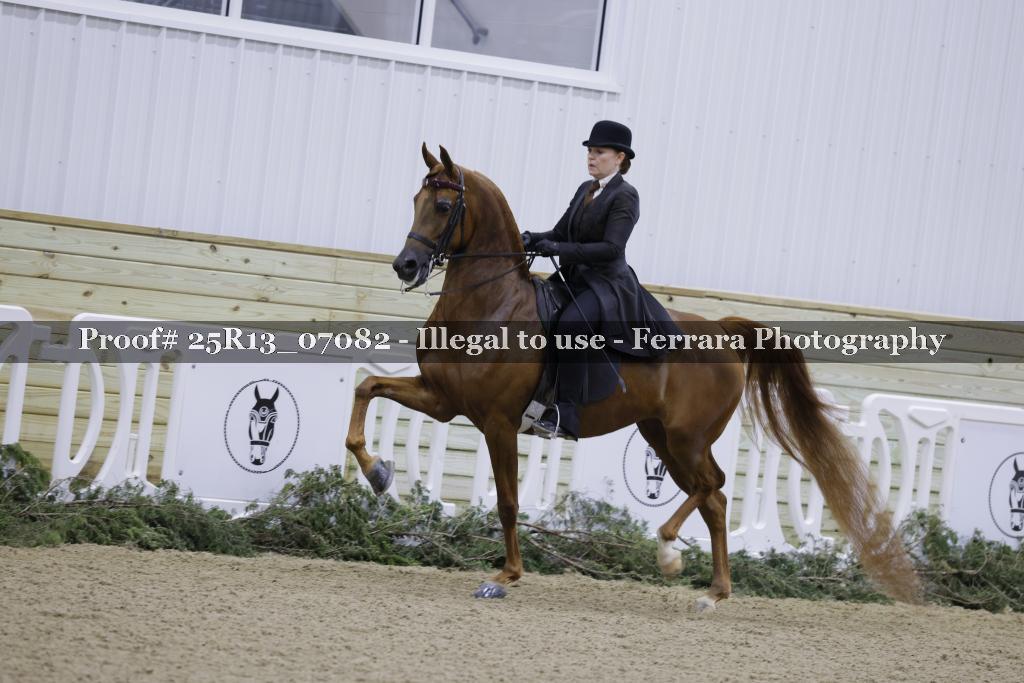 Proof 25R13_07082